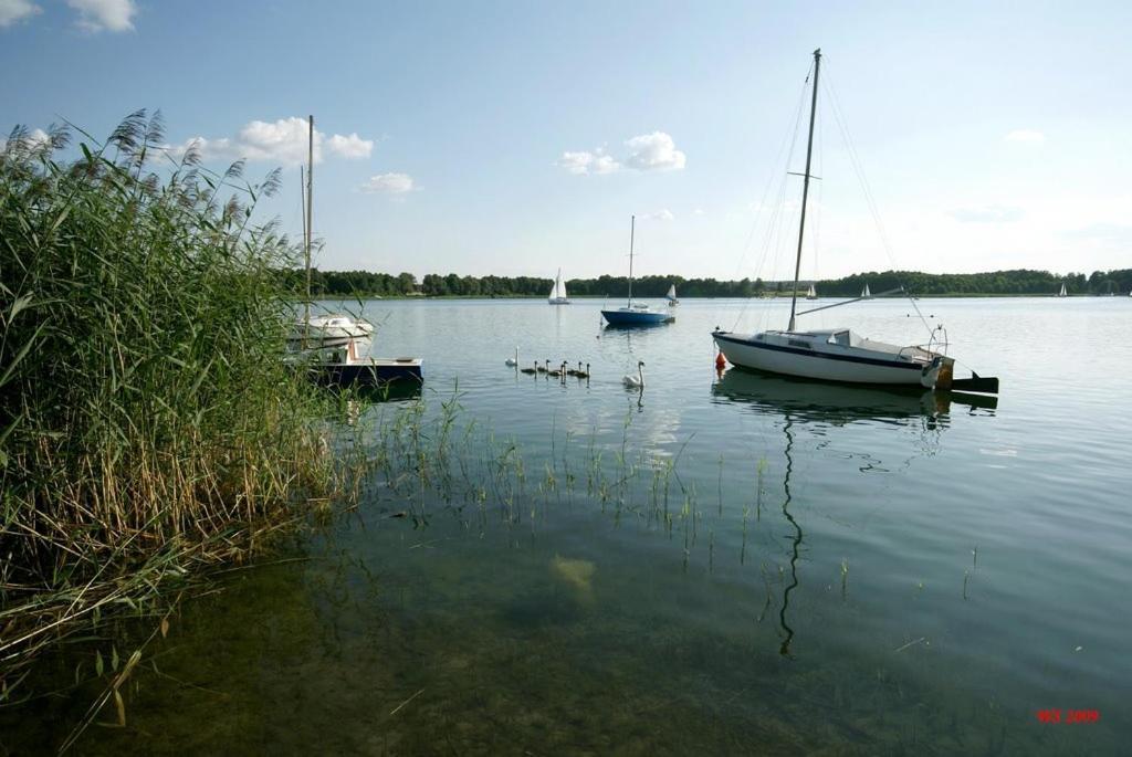 Noclegi Pod Modrzewiem Powidz  Exteriér fotografie
